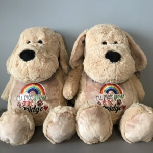 Rainbow Pet Loss Bear Jadens Gifts based Norfolk, Suffolk, Cambridgeshire and Essex
